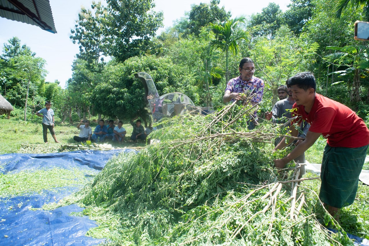 GT Moringa LTD Silage production